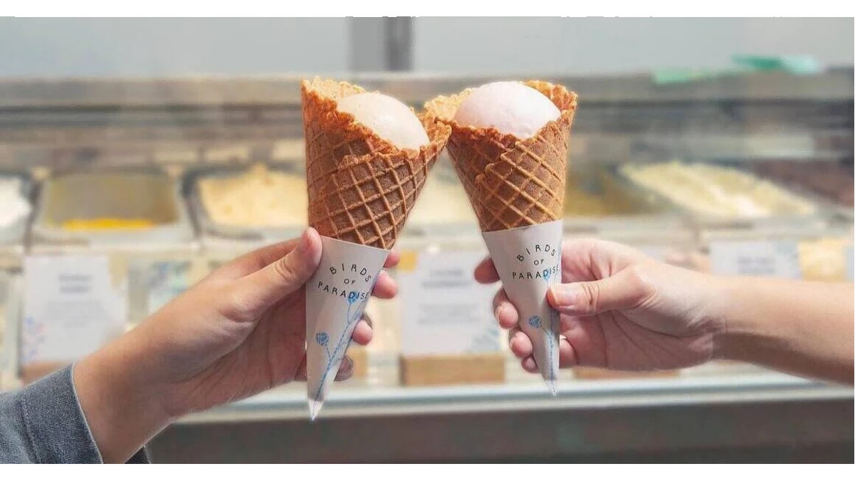 Ice Cream Cone Covers 1 Ice Cream Cone Covers 1
